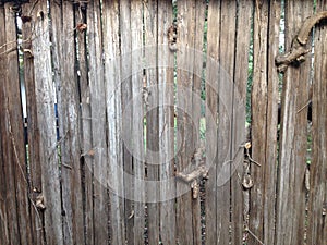 Rough old weathered and aged wood boards background