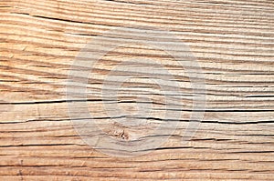 Rough old wood plank for a background texture or layer blend.