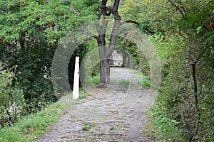 rough path at the Lorelei statue