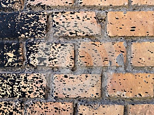 Rough peach brick wall splattered with black resin
