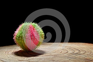 Rough, pink and green ball standing on a cut tree trunk