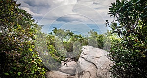 Rough ridge overlook viewing area off blue ridge parkway scenery