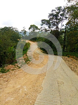 Rough road in the jungle of Asia. The countryside of Thailand