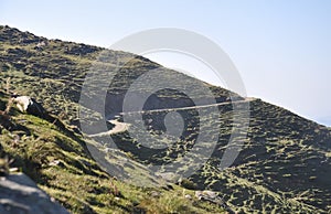 Rough road on sloppy mountain in Himachal pradesh