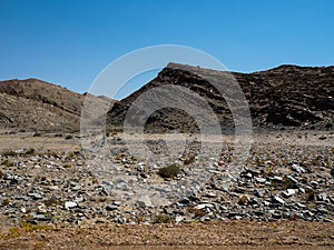 Rough rock mountain drought landscape ground of Namib desert unique geography with splitting stone and desert green plant