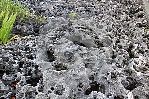 Rough rock surface on the coast of Tanjung Bira