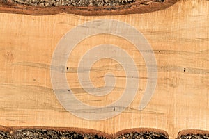 Rough sawn ambrosia maple board
