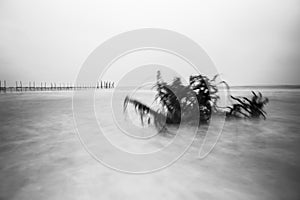 Rough sea at a beach with a long wooden  jetty in the background