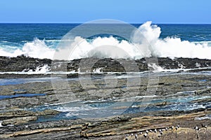 Rough Sea & High Waves, Tsitsikamma National Park, South Africa