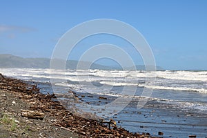 Rough sea on windy day, Raumati Beach New Zealand