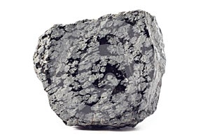 Rough stone of Obsidian mineral from the USA isolated on a pure white background photo