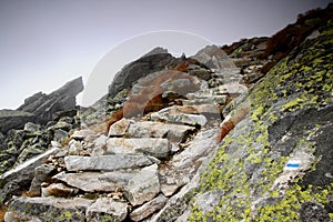 Rough stone stairs lead into the unknown on a slope in the fog