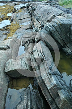 Rough stone structure, wildlife north