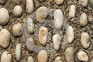 Close Up Of Pebble Stone Pavement Texture