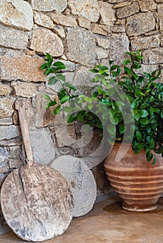 Rough stone wall and clay pot with green bush