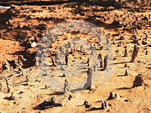 Rough surface of geologic formations of sand