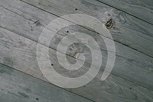 Rough surface of old knotted table with nature pattern. Wood Texture Background Old Colored Natural Tree