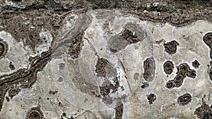 Rough texture of beach stones, abstract background of boulders.