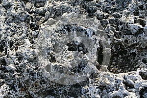 rough texture of the stone with various pits and tubercles