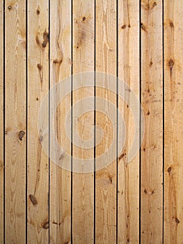 Rough Textured Exterior Pine Siding