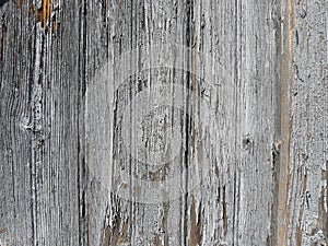 Rough textured wood background