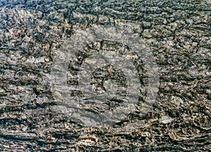 Rough tree bark with intricate textures and patterns