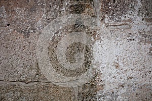 Rough weathered coquina limestone  wall surface texture close up