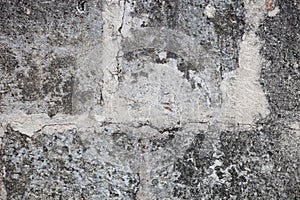 Rough weathered coquina limestone  wall surface texture close up