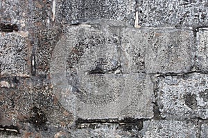 Rough weathered coquina limestone  wall surface texture close up