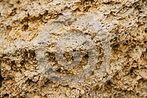 Rough weathered porous sandstone surface texture close up