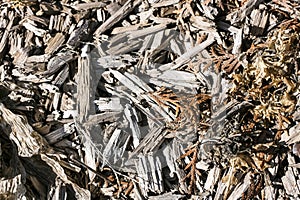 Rough Wood Chip Texture Mixed with Dead Foilage