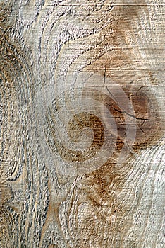 Rough Wood Grain