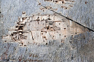 Rough wooden background