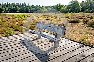 Rough wooden bench on a plank platform in a nature reserve