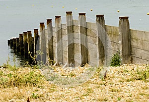 Rough Wooden Groynes
