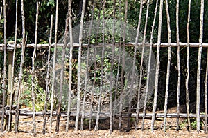 Rough wooden pole fence isolated