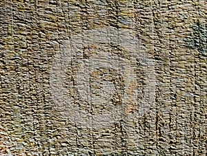 Wooden textured natural wall background photo