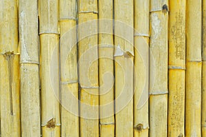 Rough yellow bamboo wall