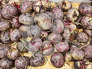 Roughly Textured Beetroot Bulbs in Shop