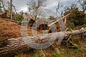 Roughting Linn Storm Damage