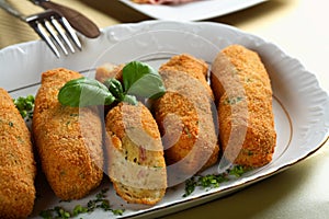 Roulade made from poultry and breadcrumbs photo