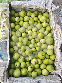 Round gaurd vegitable in market photo