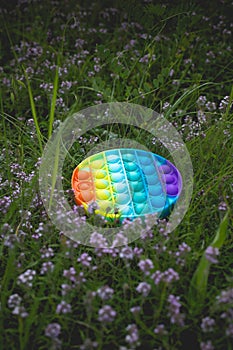 A round anti-stress toy pop it lies on the grass in the daytime