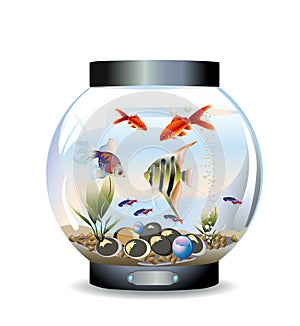 Round aquarium