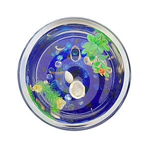 Round aquarium with a fish and blue stones at the bottom.