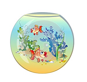 Round aquarium with fishes