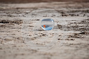 A round aquarium with a goldfish stands on the sand, a fish swims in the water, a beach with golden sand
