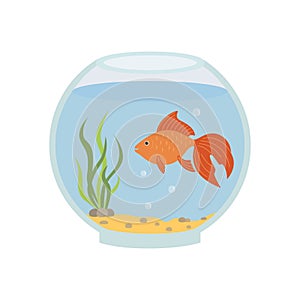Round aquarium with goldfish. Vector illustration isolated.