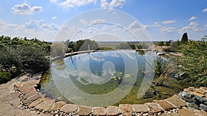 Round artificial pond with fish in the garden of a country house.