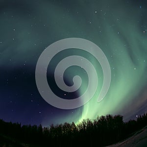 Round aurora rolling out